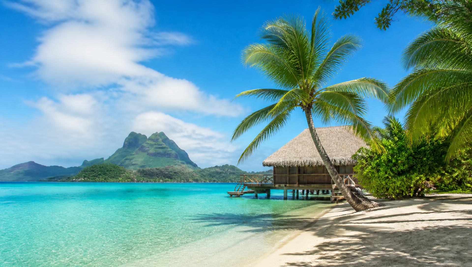 Turquoise lagoon with palm trees and an overwater bungalow